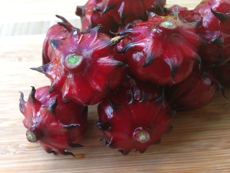 roselle Hibiscus sabdariffa, commonly known as Thai roselle, is what puts the zing in Celestial Seasonings’ Red Zinger Tea. ©2015 Daniel Lane