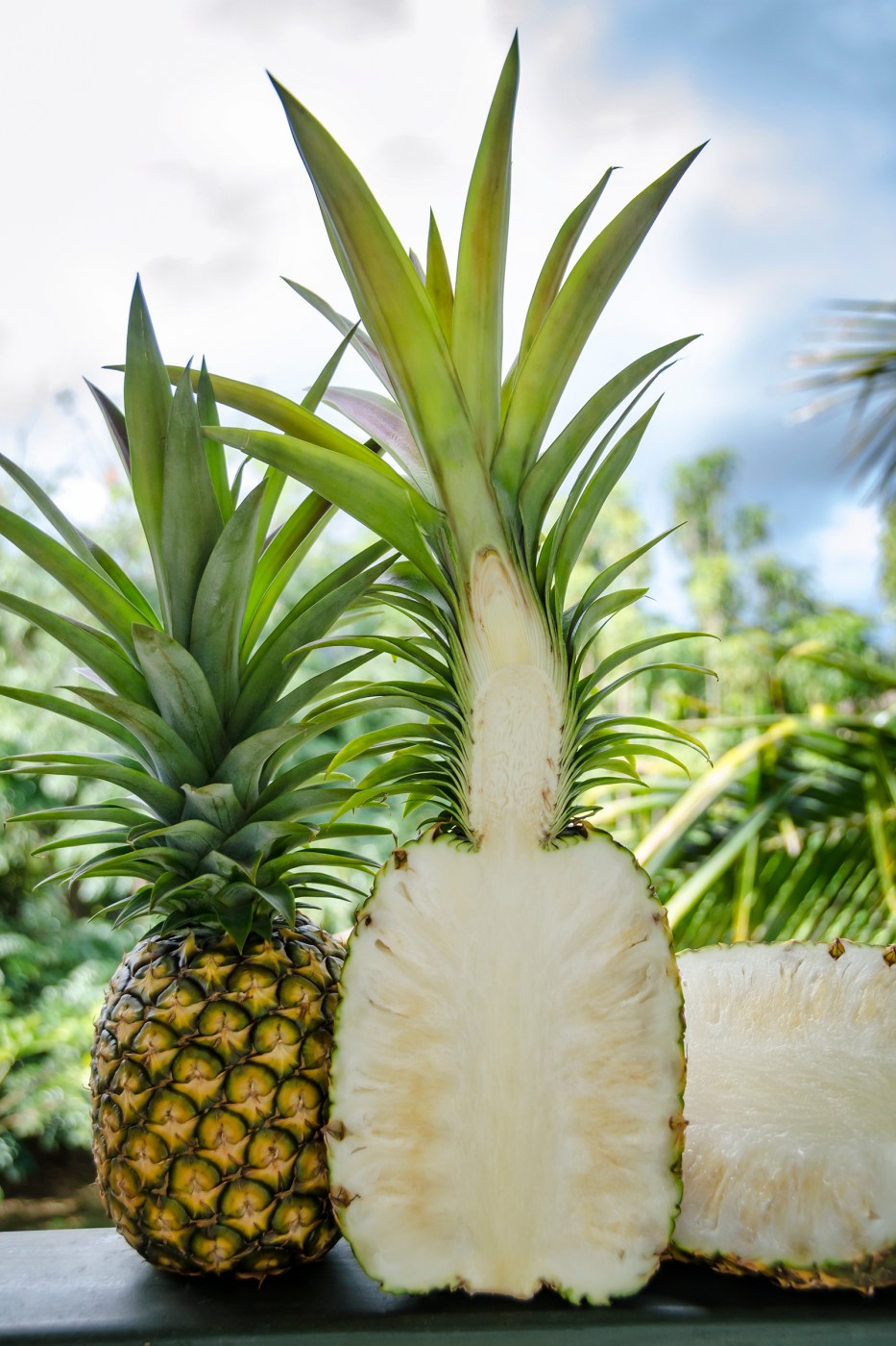 Hawaii Pineapple Season | Tasting Kauai