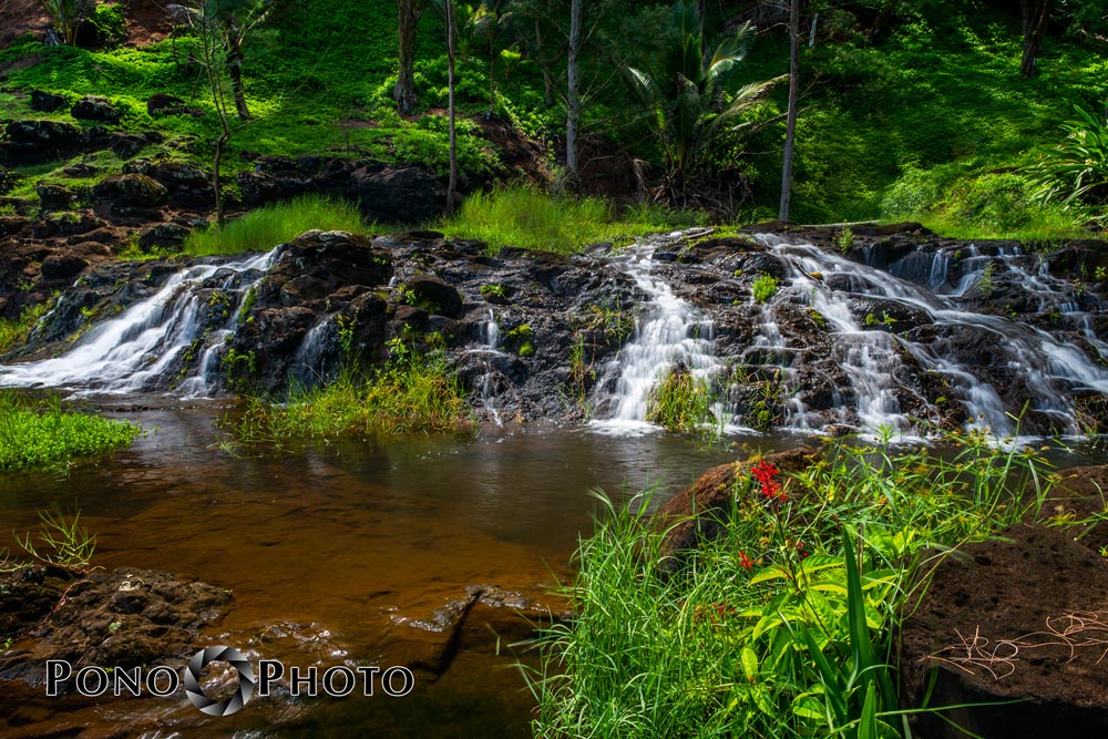 Falls-and-Flower Falls-and-Flower