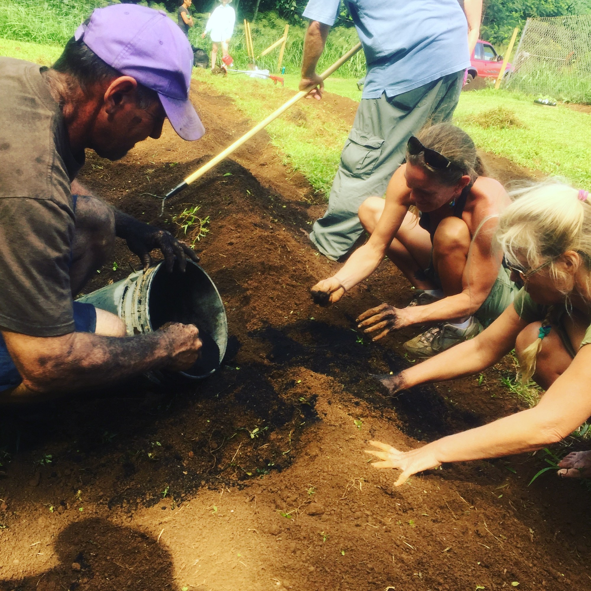 Dr. Adam Asquith mixes amendments with volunteers in the Kawaikini PCS school garden Dr. Adam Asquith mixes amendments with volunteers in the Kawaikini PCS school garden. Photo courtesy of Kawaikini.