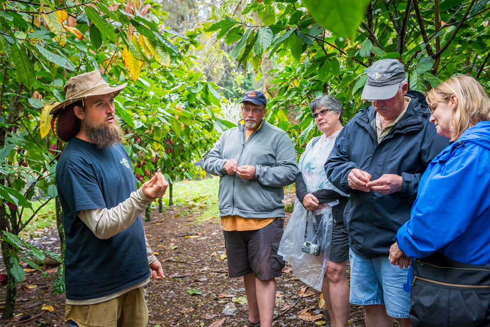Tasting fresh cacao during a Kohala Grown Farm Tour. Daniel Lane photo.