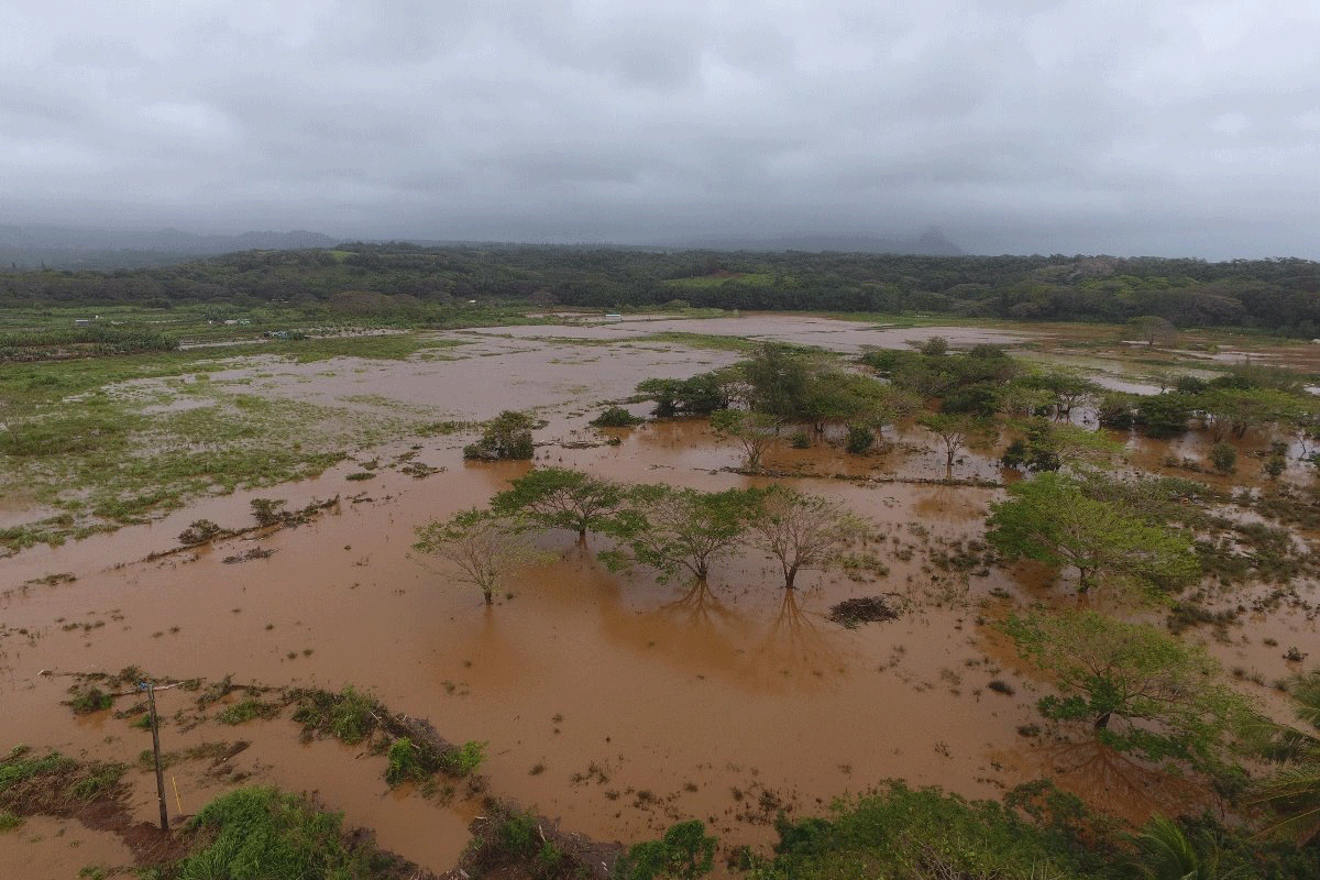 Kealia-Farm Kealia Farm. Photo from Adam Asquith's Facebook page.