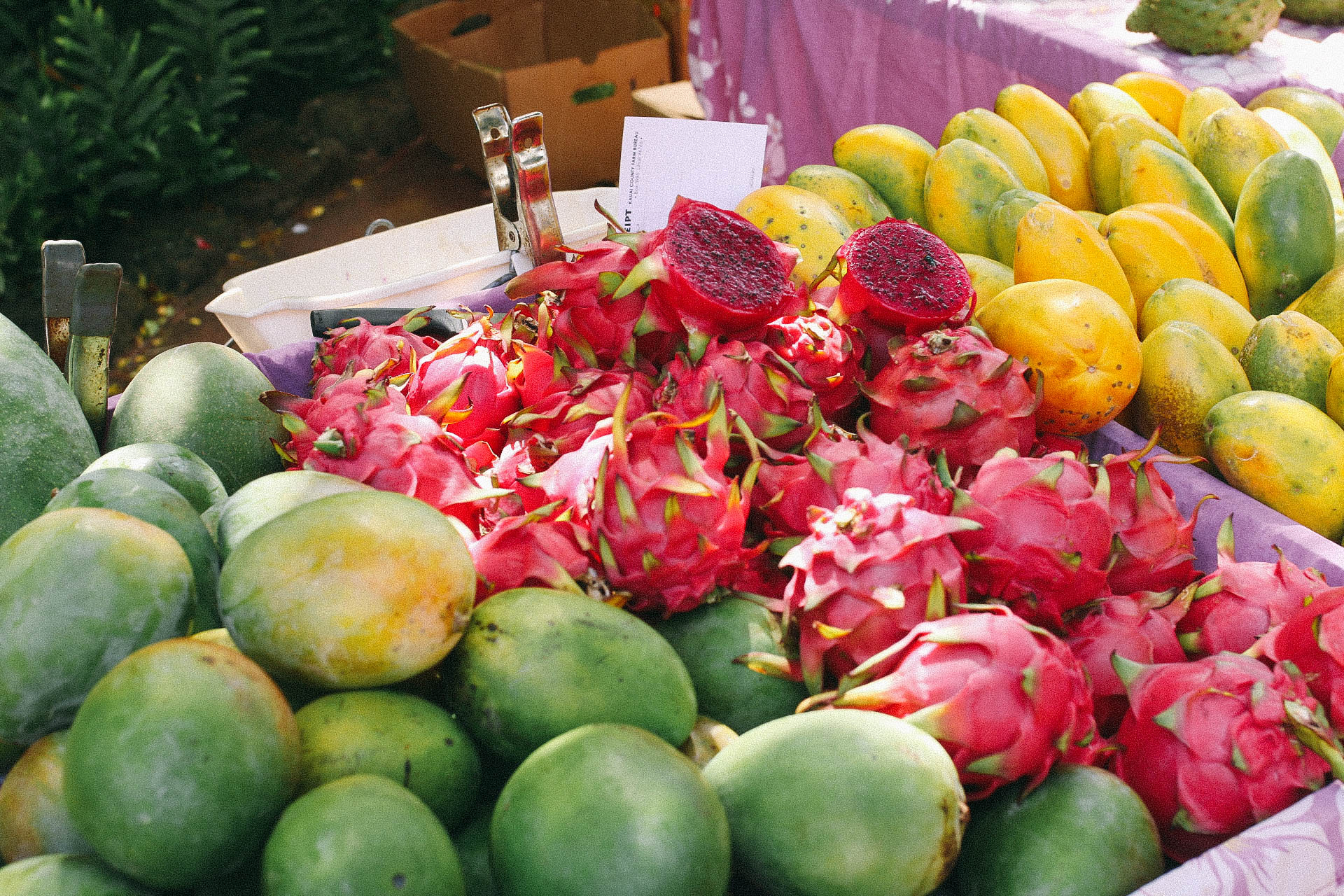 farmers market (9 of 19) farmers market (9 of 19)