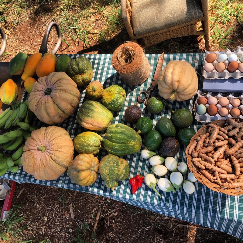 Market goods on table at restaurant on Kauai, Hawaii