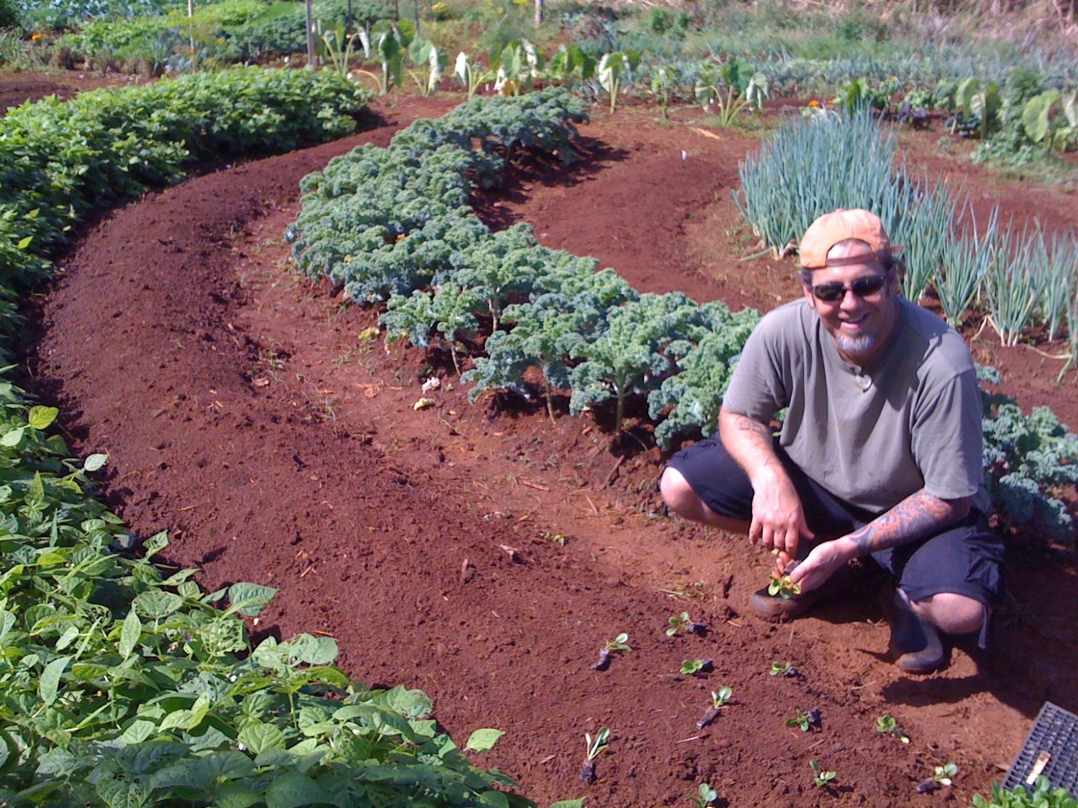Dan posing in a farm field on Kauai, Hawaii