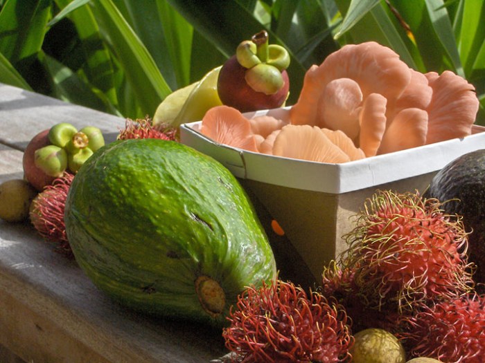 Kilauea Farmers Market Tasting Kauai