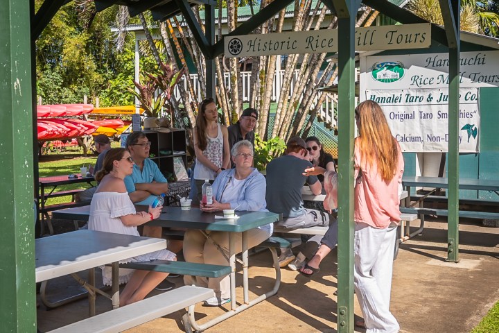 a group of people sitting at a picnic table